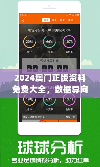 澳门精准王中王免费公开,高速响应计划执行_YPX34.948融合版