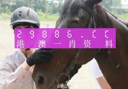 澳门一肖一码一必中一肖同舟前进,策略调整改进_CKR41.187晴朗版