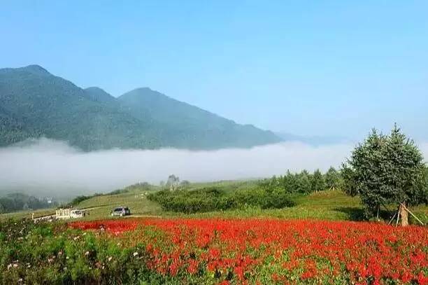 最新安徽移动下载安装，探索自然美景，寻觅内心桃花源