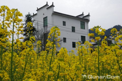 上饶最新房价，与自然美景的邂逅，寻找心中的平和居所