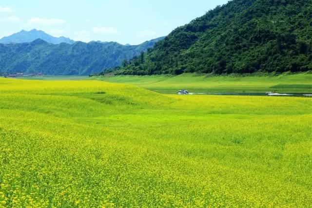 青青草最新探索，自然美景之旅的启程点