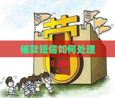 催收最新短信步骤指南与技巧速递