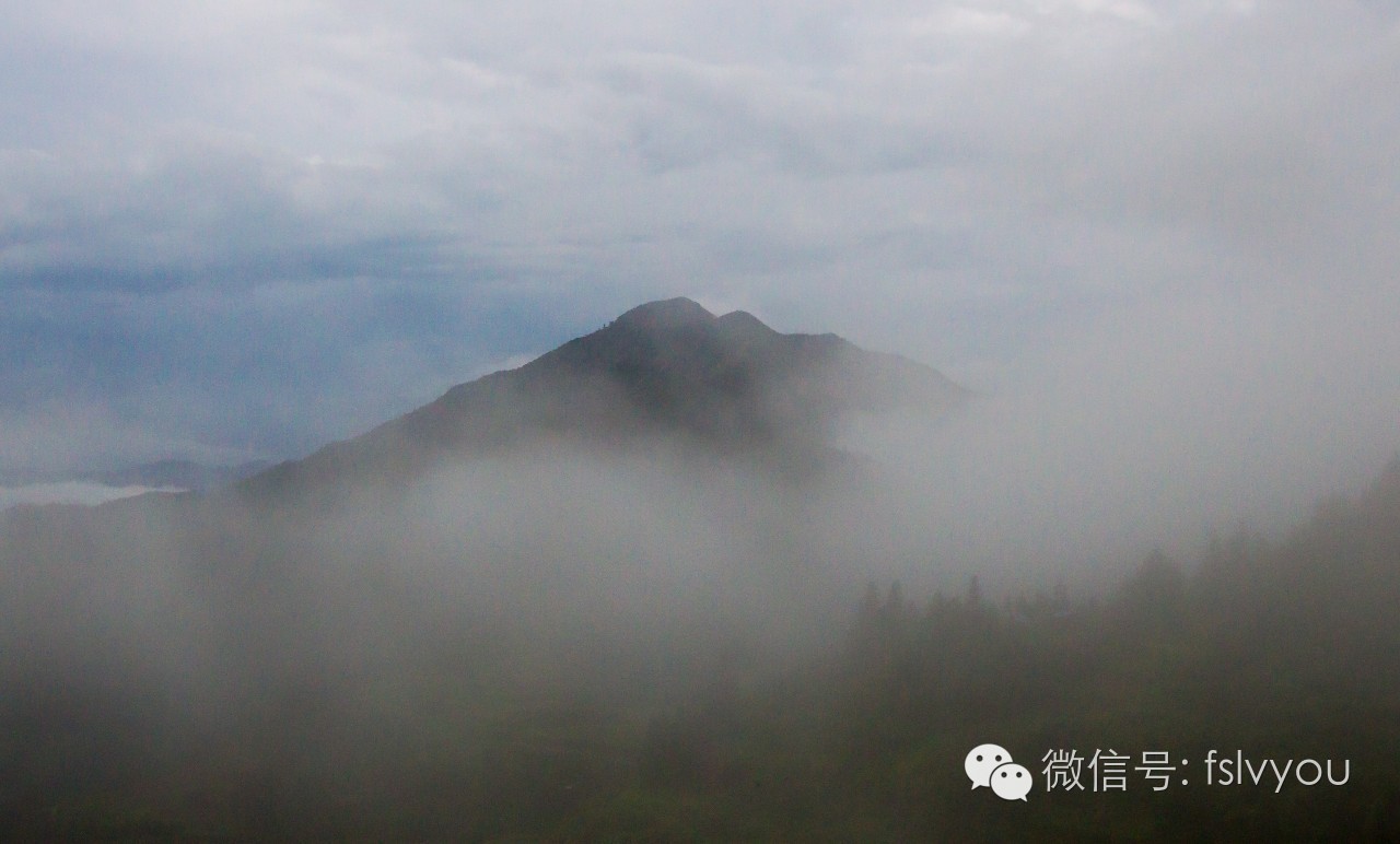 爱山东最新，自然美景探索之旅