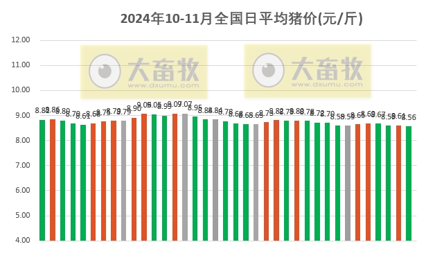 菏泽生猪价格今日走势分析及预测，市场趋势深度解读