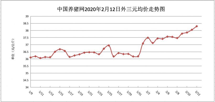 市场动态