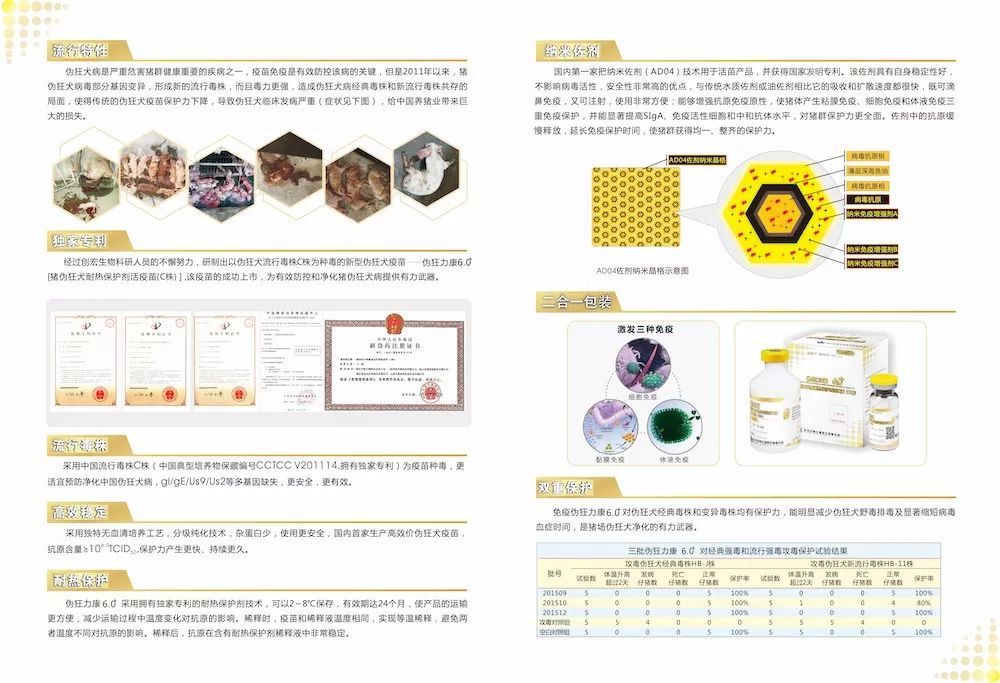 全国菜籽价格信息平台，绿色之旅，寻找内心平静的启程