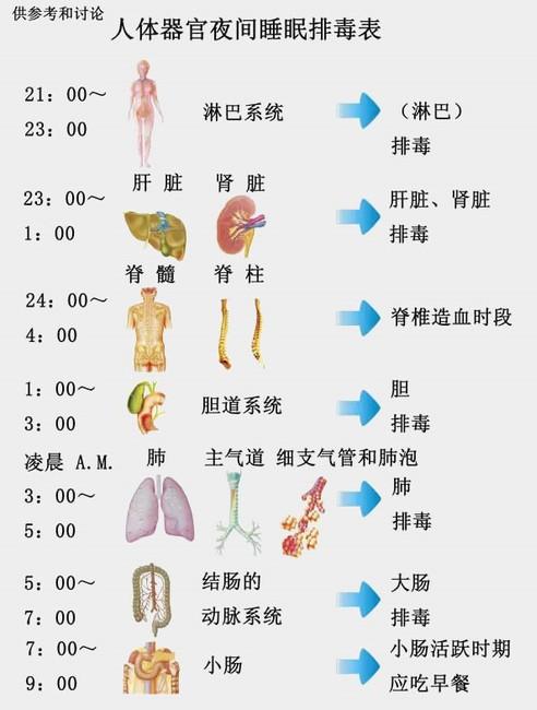 最新网络游戏测试时间表，时代产物及其影响力解析