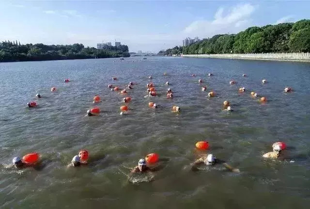 探索未知水域乐趣，最新趟水吧体验之旅