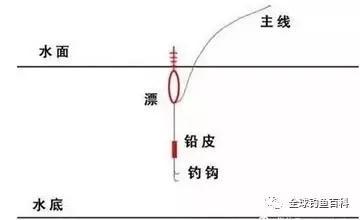 泰安最新钓鱼信息及全攻略，钓鱼技巧一步步解析